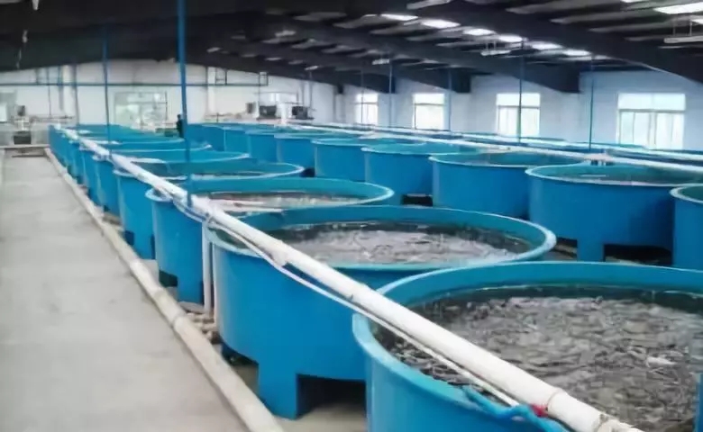 �՚�Դ��ú��ˮ�a�B(y��ng)ֳ